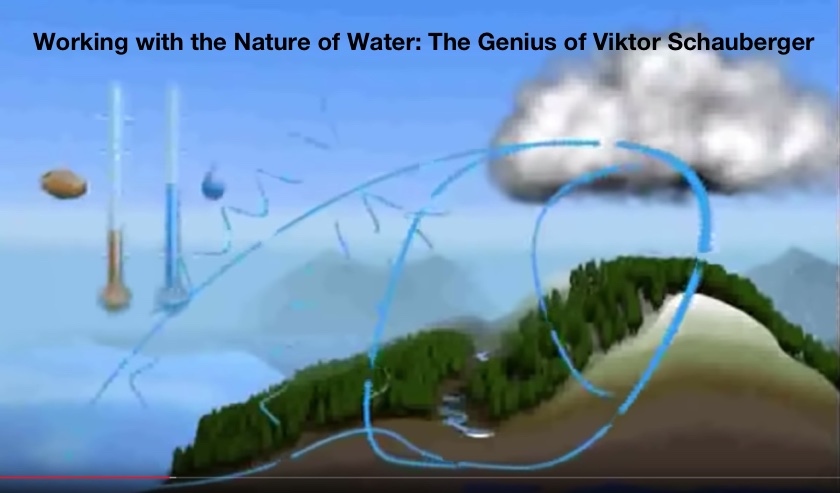 Comprehend and Copy Nature: The Genius of Viktor Schauburger